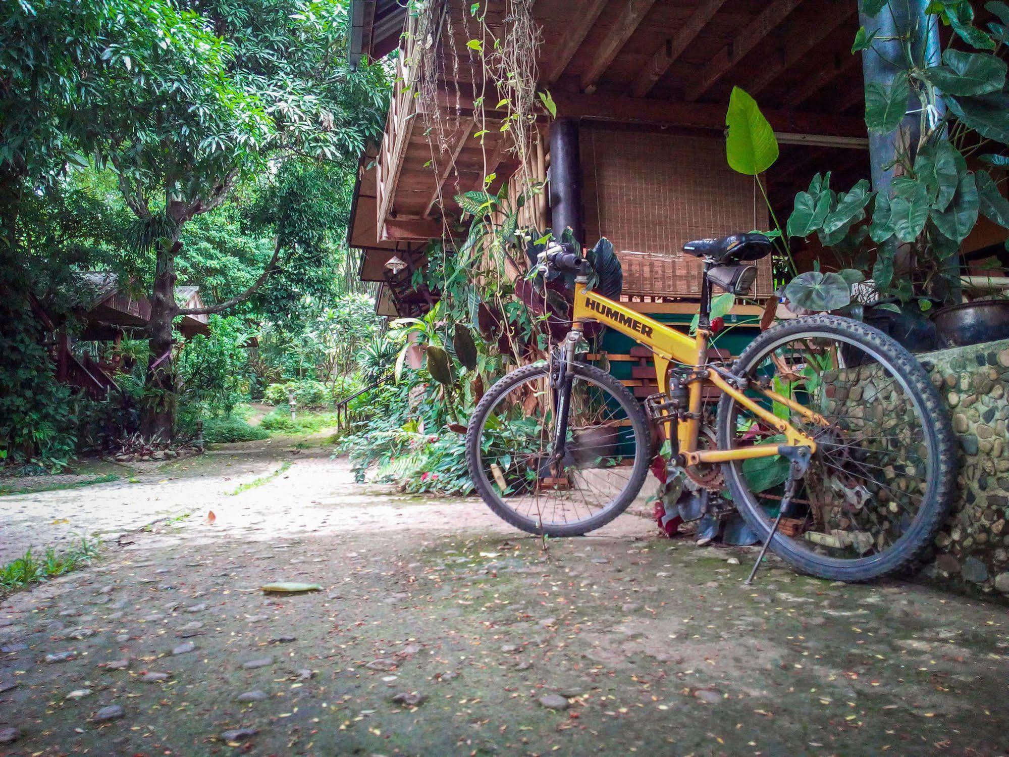 Misty View Guesthouse Pai Extérieur photo